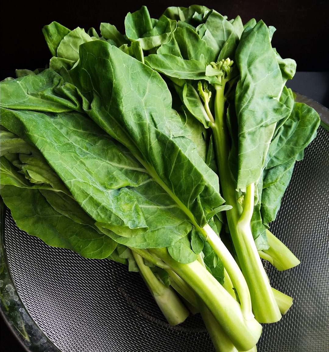 Kai Lan herb seeds