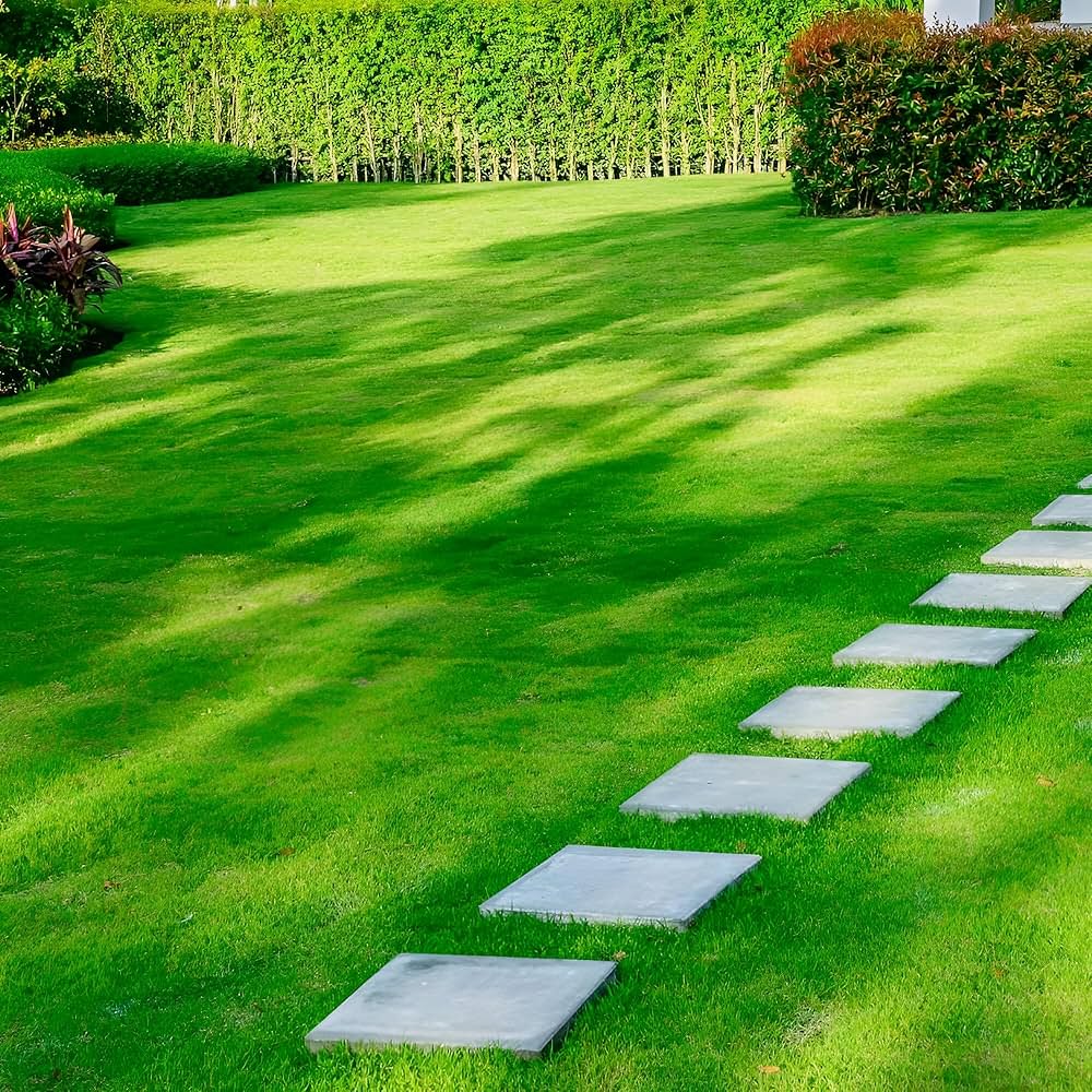 Green Grass herb seeds
