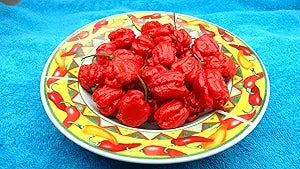 carolina reaper flower seeds