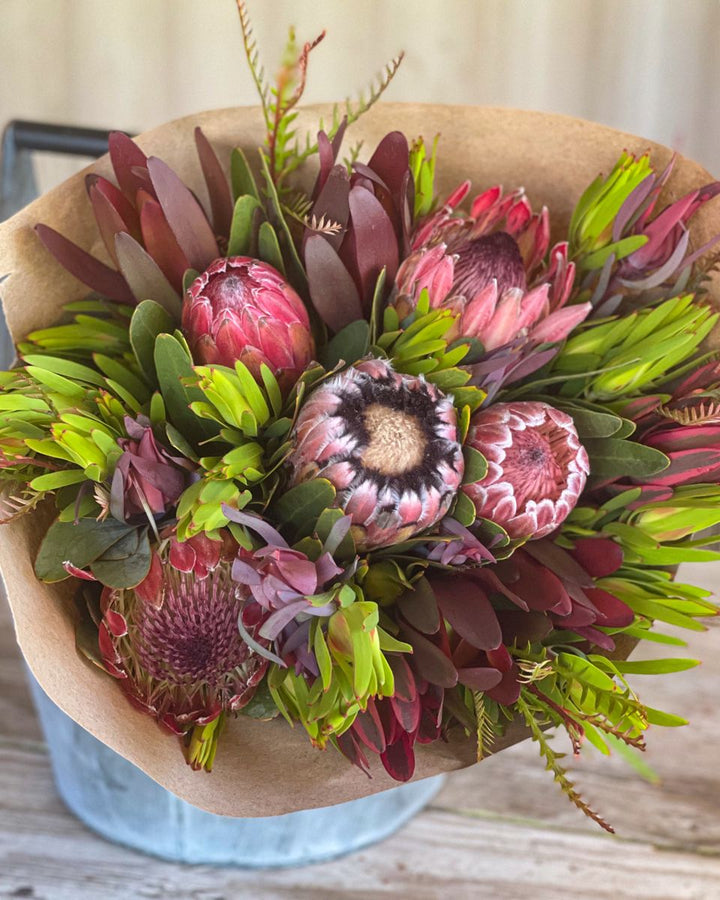 Mixed Protea Flower Seeds – Heirloom, Non-GMO, High Germination Seeds