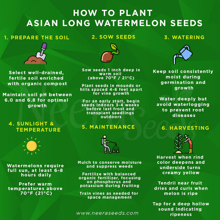 Asian Long Watermelon Seeds for Planting – Heirloom Non-GMO High Germination Organic Garden Seeds Sweet Red Flesh High-Yield Summer Fruit Seeds for Planting