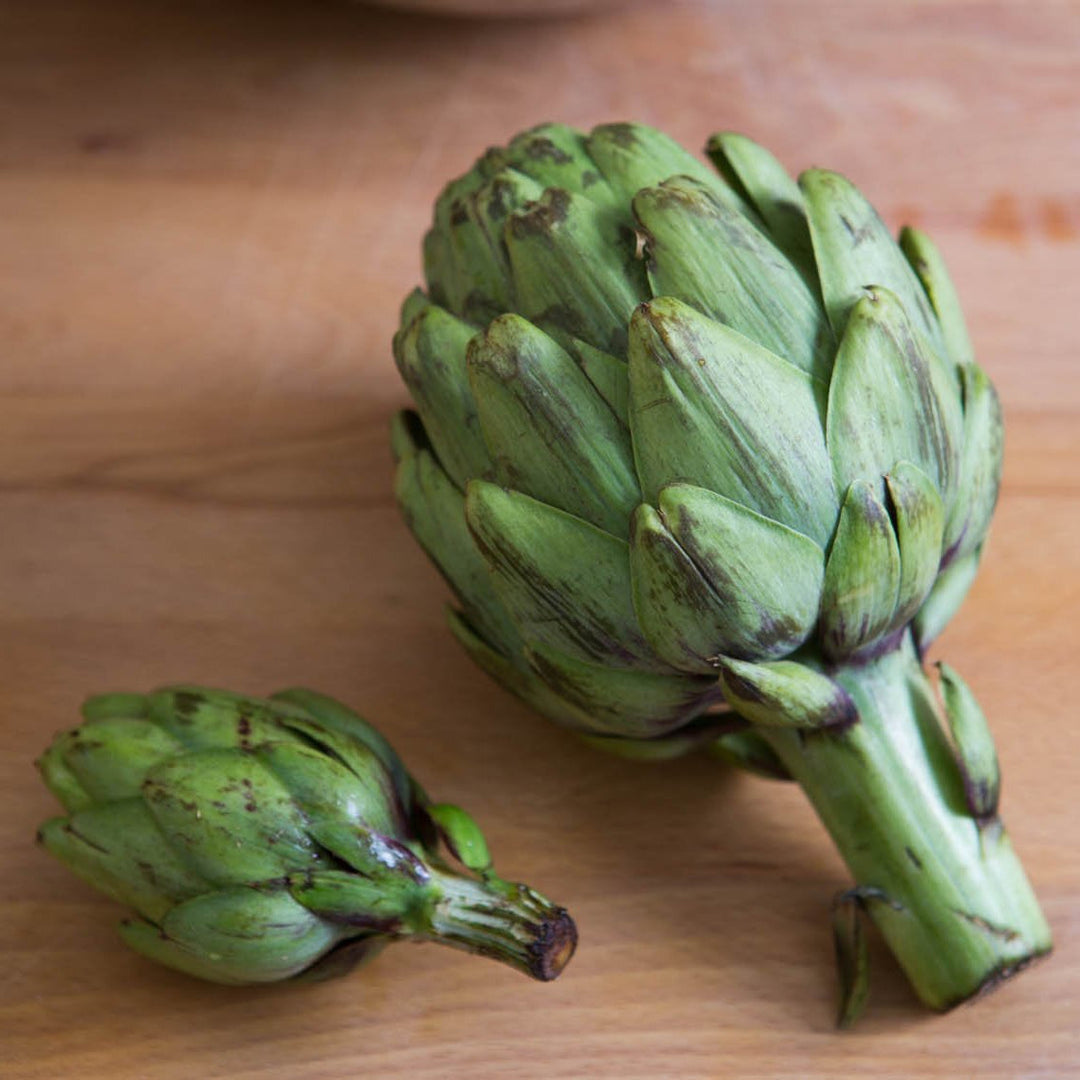 Green Artichoke herb seeds