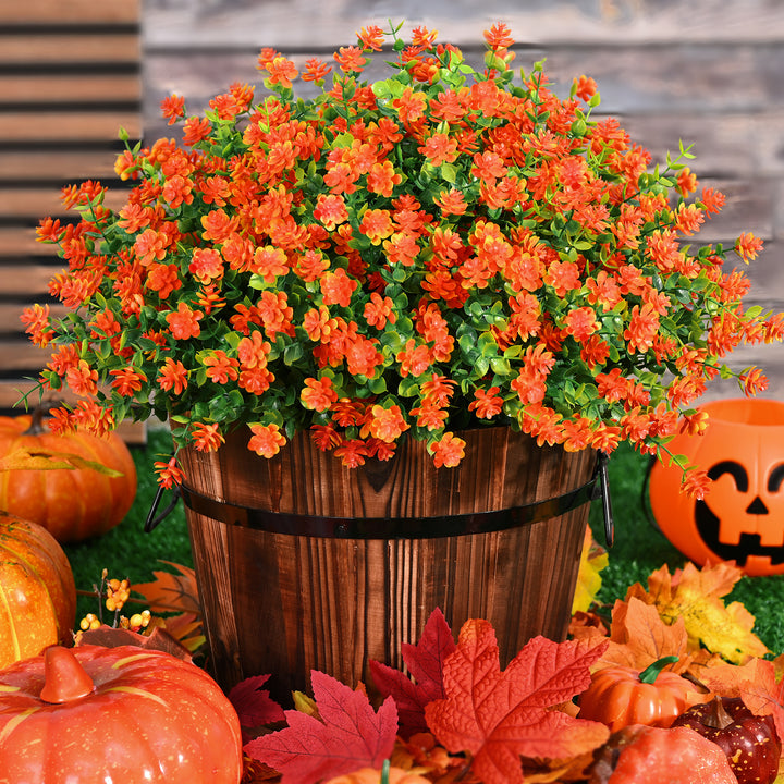 Orange Creeping Thyme Flower Seeds – Heirloom Non-GMO High Germination