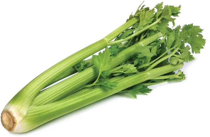 Celery (Apium graveolens) Seeds for Planting – Heirloom, Non-GMO, High Germination Organic Garden Seeds