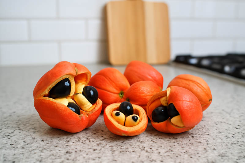 Ackee Fruit Seeds for Planting – Heirloom Non-GMO, High Germination Organic Garden Seeds