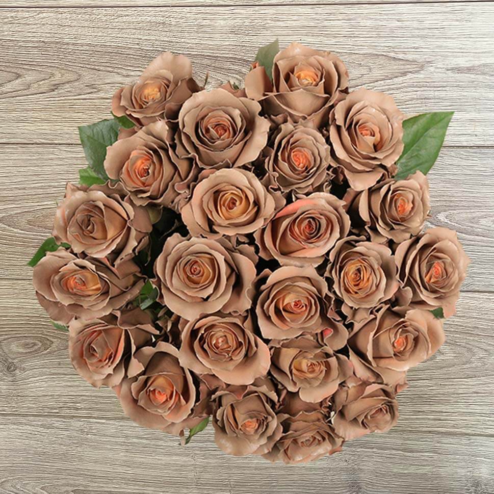 Rose Flower Seeds Brown – Heirloom, Non-GMO, High Germination, Organic Garden Seeds for Planting