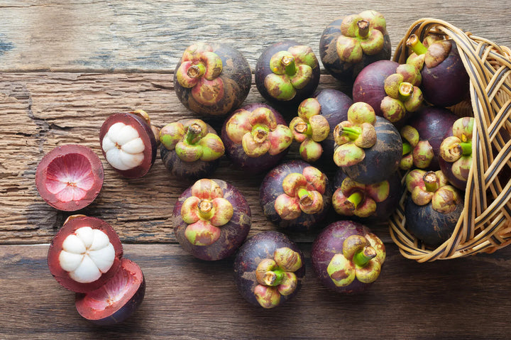 Mangosteen Fruit Seeds – Heirloom, Non-GMO, High Germination Organic Garden Seeds