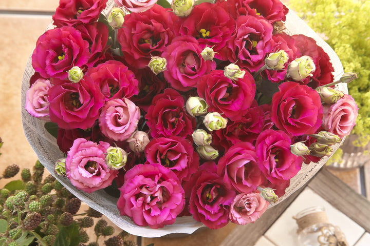 Lisianthus Red Flower Seeds – Heirloom, Non-GMO, High Germination Seeds