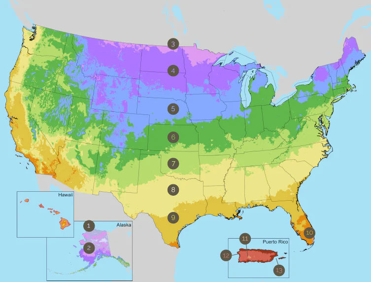 What is a USDA Hardiness Zone?