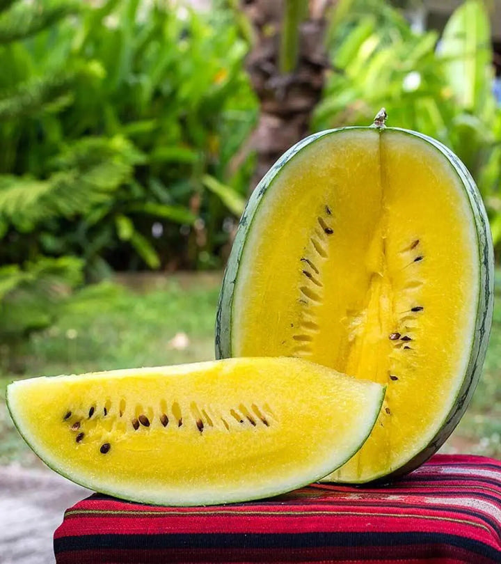 Yellow Watermelon Fruit Seeds for Planting – Heirloom Non-GMO Organic Garden Seeds