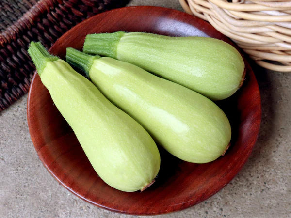 Homs Kousa Squash Seeds – Heirloom, Non-GMO, High Germination Organic Garden Seeds