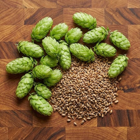 Humulus Flower Seeds – Heirloom, Non-GMO, High Germination Seeds
