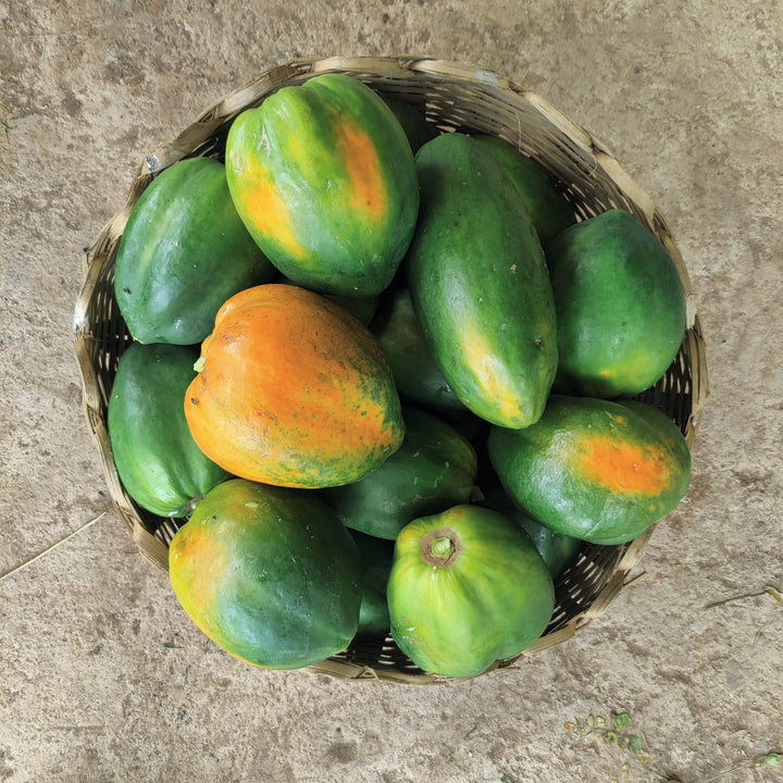Papaya Fruit Organic Seeds for Planting – Heirloom Non-GMO, High Germination Organic Garden Seeds