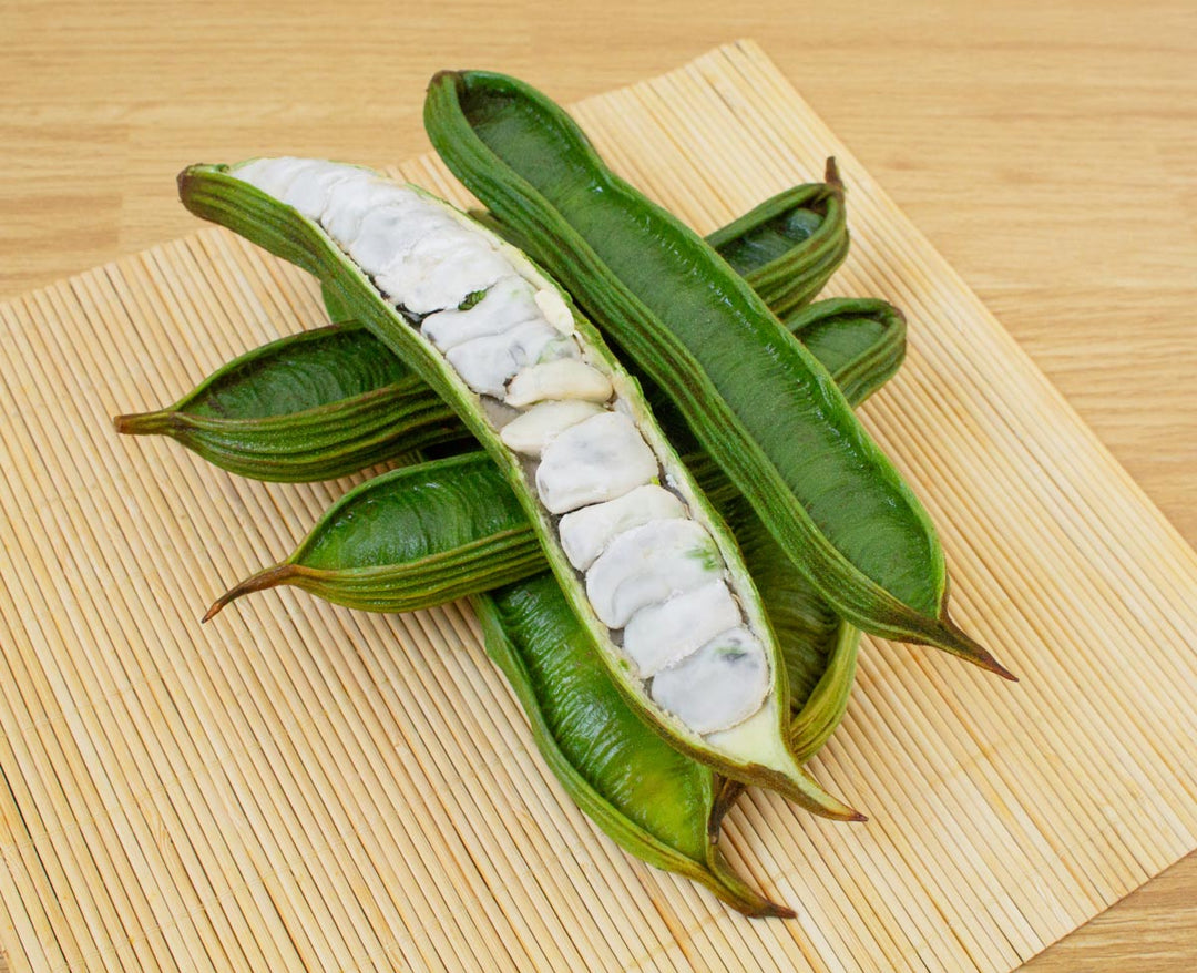 Ice Cream Bean Seeds for Planting – Inga Edulis, Tropical Fruit Tree Seeds, Heirloom, Non - GMO, High Germination, Organic Garden Seeds