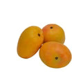 Alphonso Mango Fruit Seeds – Heirloom Hapus Variety Non-GMO High Germination Organic Garden Seeds for Planting