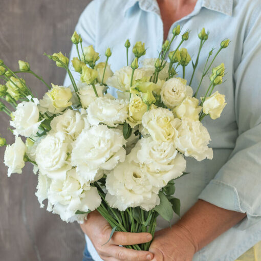 lisianthus bon voyage white