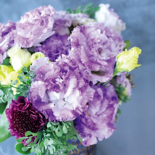 lisianthus voyage blue flash