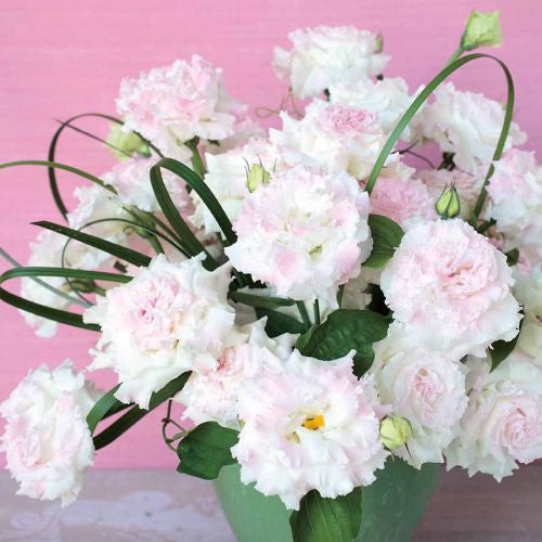 lisianthus voyage flower seeds