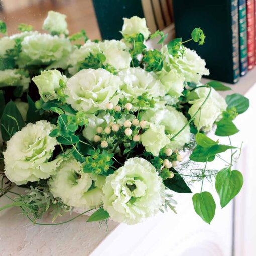 lisianthus mariachi lime green