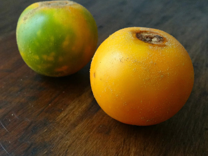 Lulo Fruit Seeds – Heirloom, Non-GMO, High Germination Organic Garden Seeds