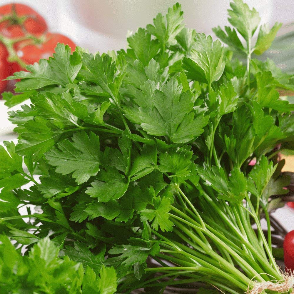 Mitsuba Japanese herb seeds