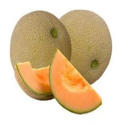 Brown Muskmelon Seeds – Heirloom, Non-GMO, High Germination Organic Garden Seeds