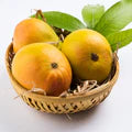 Alphonso Mango Fruit Seeds – Heirloom Hapus Variety Non-GMO High Germination Organic Garden Seeds for Planting