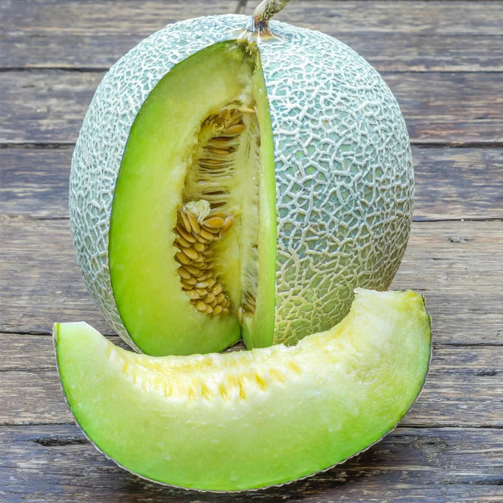 Green Cantaloupe Seeds for Planting – Heirloom Non-GMO High Germination Organic Garden Seeds