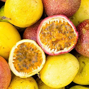 passion fruit flower seeds