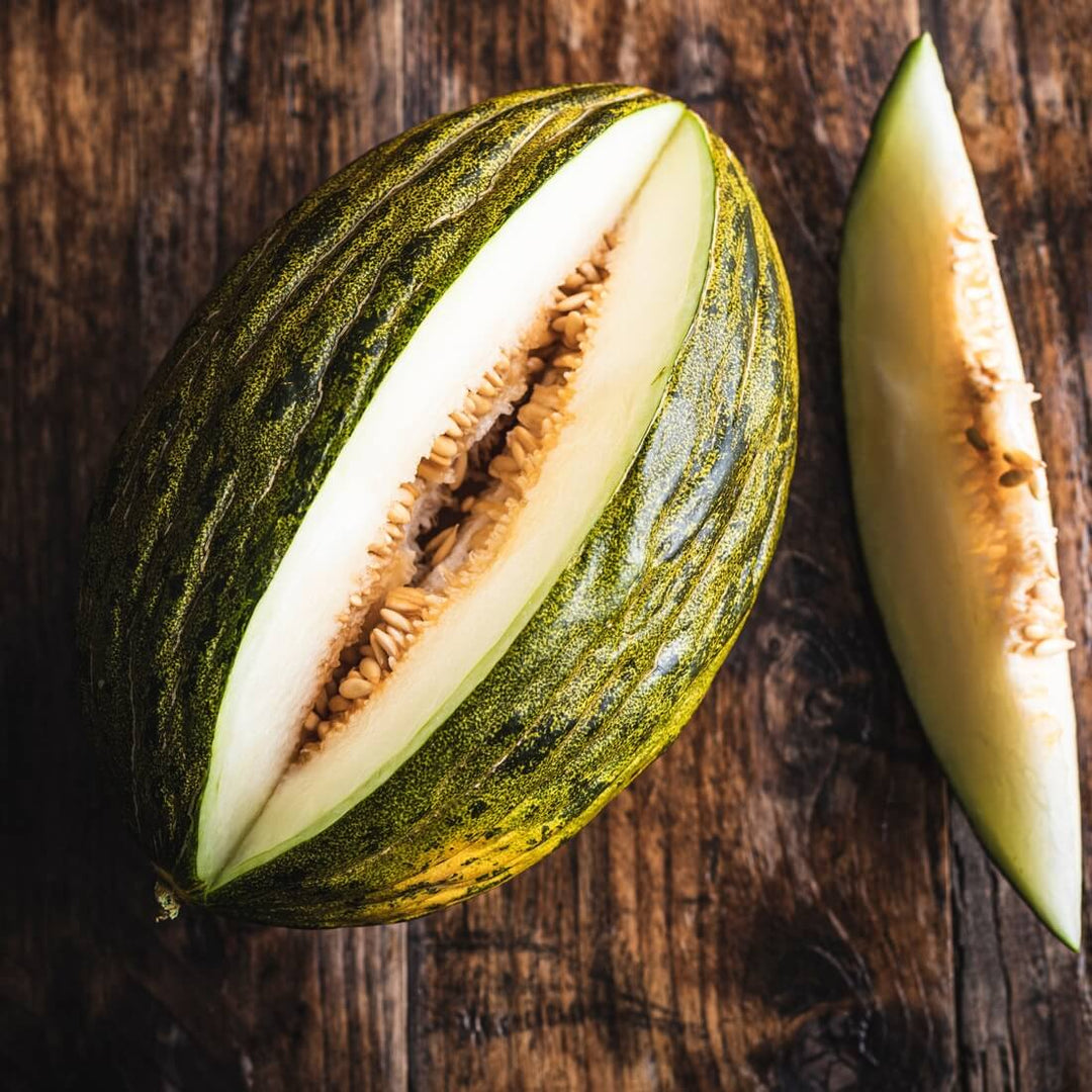 toadskin melon flower seeds