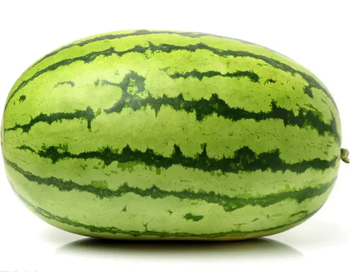Asian Long Watermelon Seeds for Planting – Heirloom Non-GMO High Germination Organic Garden Seeds Sweet Red Flesh High-Yield Summer Fruit Seeds for Planting