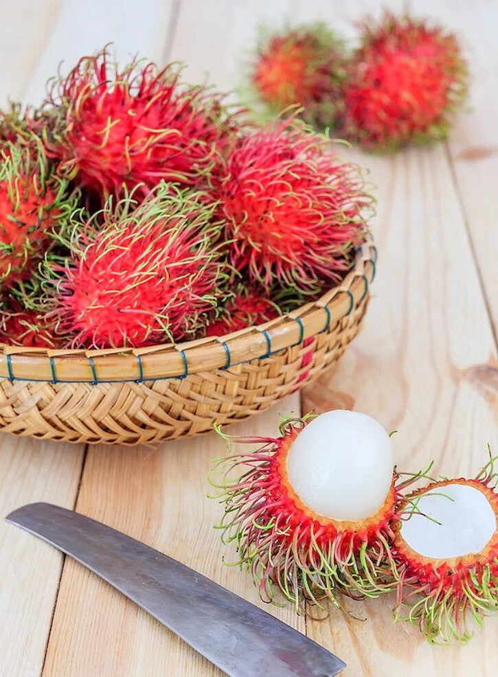 Rambutan Fruit Seeds for Planting – Heirloom Non-GMO, High Germination Organic Garden Seeds