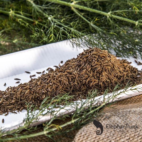Caraway For herb seeds