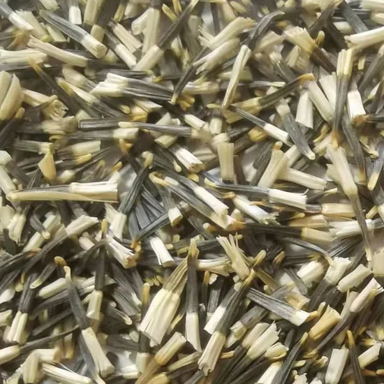 tallmarigoldflowerstrongbranchingmarigoldflowerforsowingheirloomnongmohighgerminationorganicgarden flower seeds