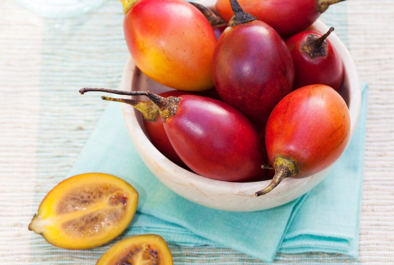 Tamarillo Fruit Seeds for Planting – Heirloom Non-GMO, High Germination Organic Garden Seeds