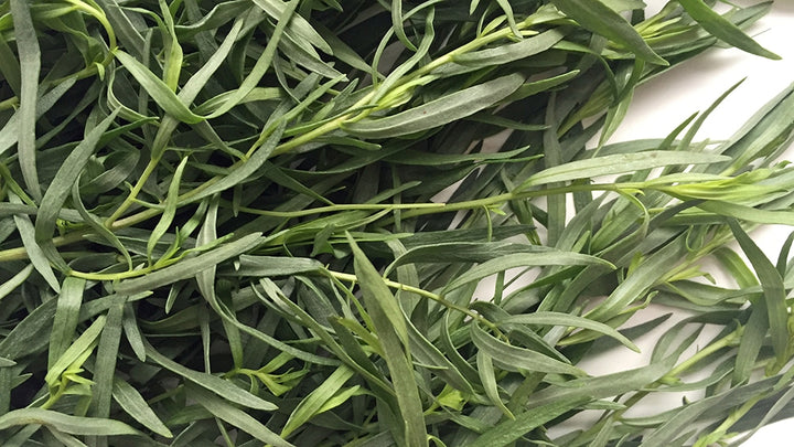 Tarragon Green Seeds for Planting – Heirloom Non-GMO, High Germination Organic Garden Seeds