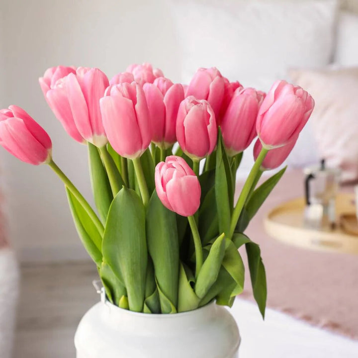 Giant Tulip Flower Seeds Pink for Planting – Heirloom, Non-GMO, High Germination