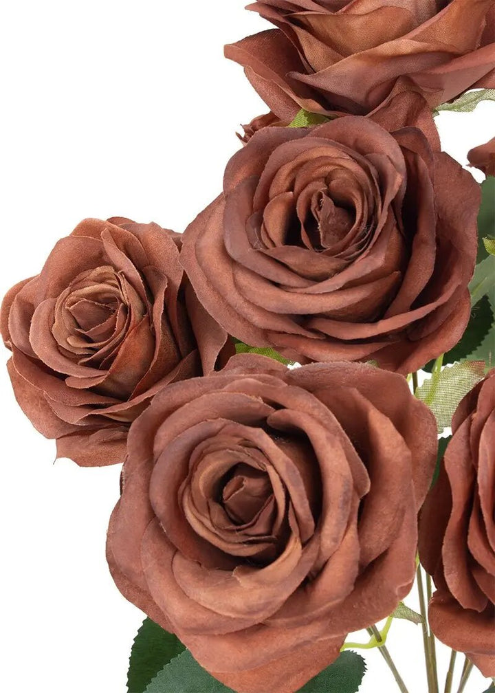 Giant Rose Flower Seeds Brown – Heirloom, Non-GMO, High Germination Organic Garden Seeds for Planting