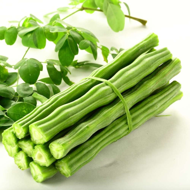 Drumstick (Moringa oleifera) Seeds | Heirloom, Non-GMO, High Germination Seeds