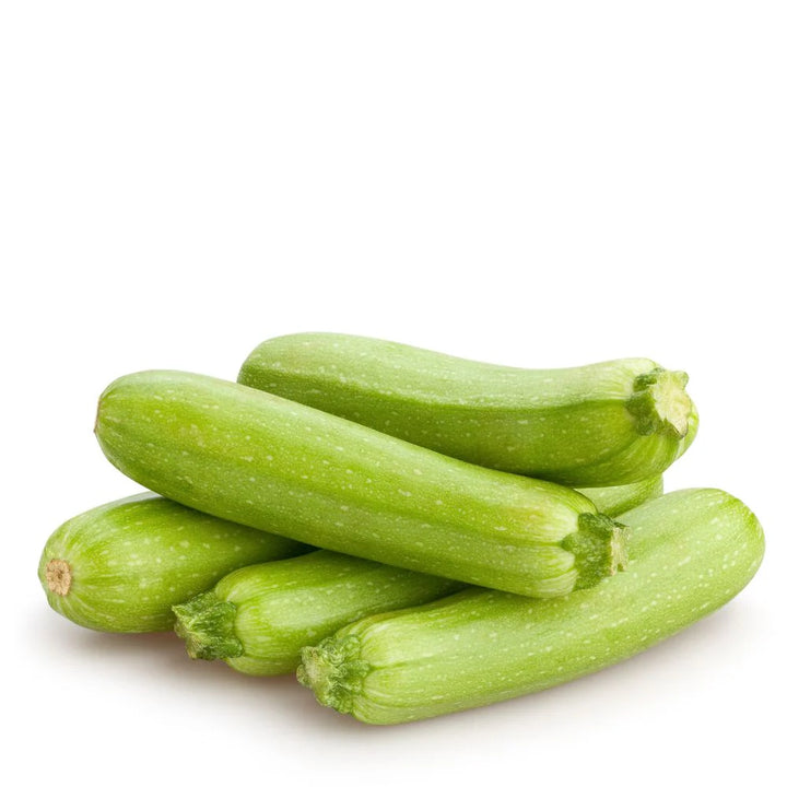 Long Light Green Zucchini Seeds – Heirloom, Non-GMO, High Germination Organic Vegetable Garden Seeds