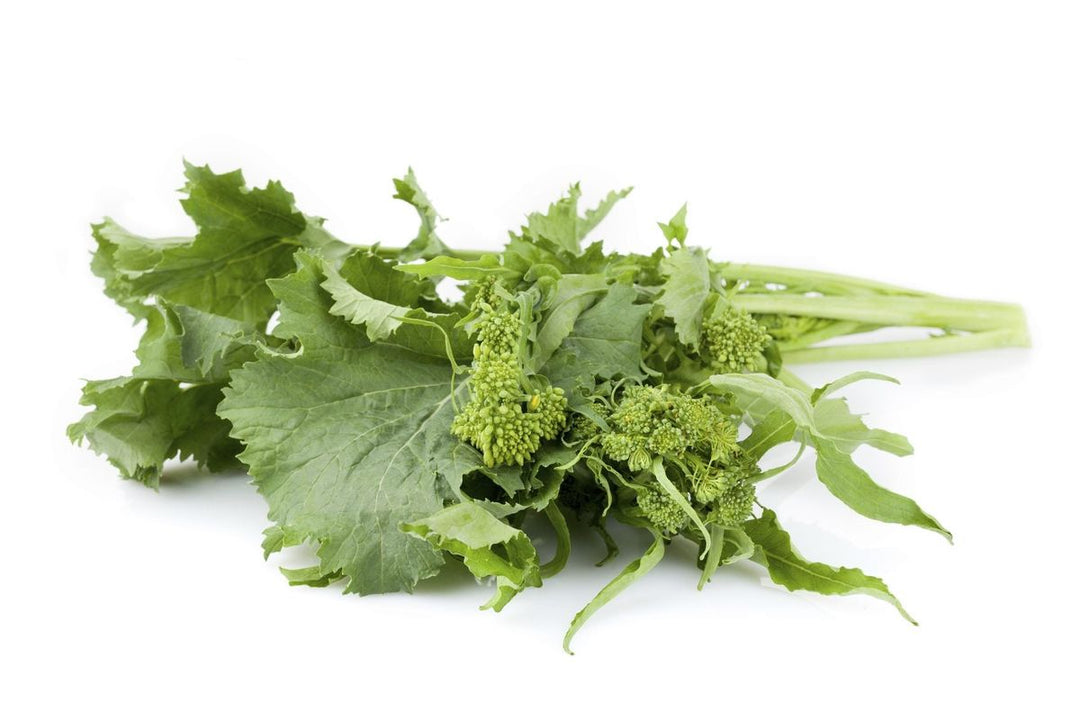 Broccoli Raab herb seeds