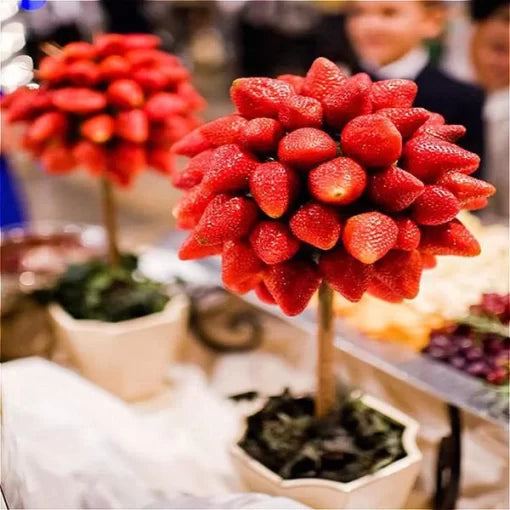 strawberry tree flower seeds