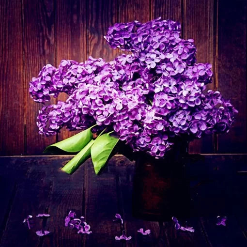 japanese lilac flower seeds