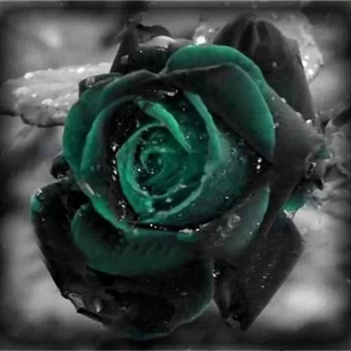 black green flower seeds