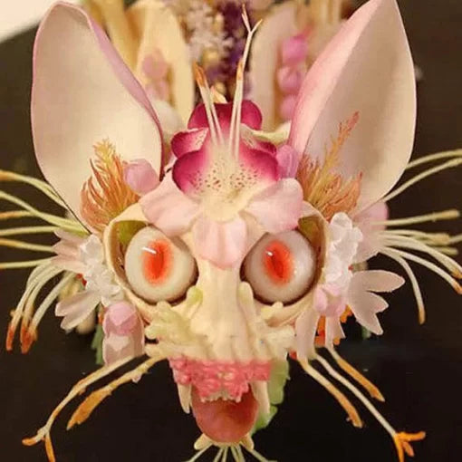 monkey face flower seeds