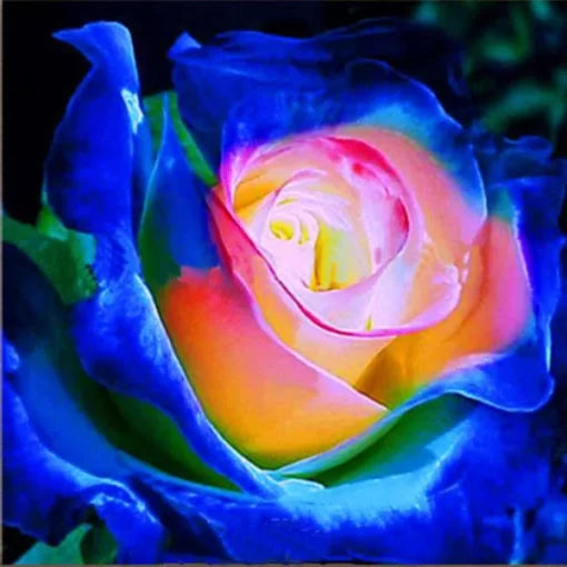blue purple flower seeds