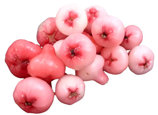 Pink Rose Apple Fruit Seeds for Planting – Heirloom Non-GMO High Germination Organic Garden Seeds