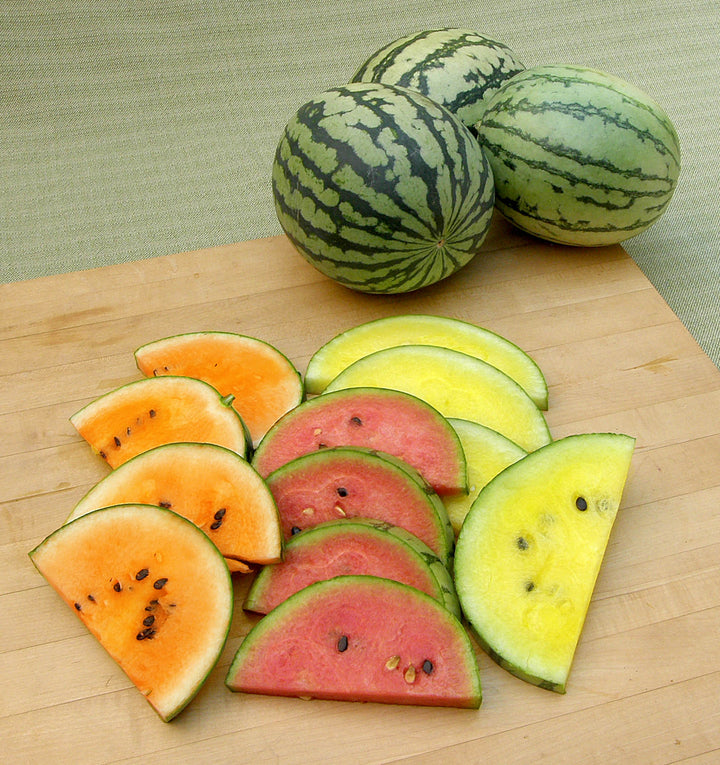 Multi-Colour Watermelon Fruit Seeds – Heirloom, Non-GMO, High Germination Seeds