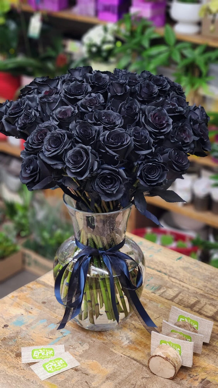 Rose Flower Seeds Black for Planting – Heirloom Non-GMO High Germination Organic Seeds