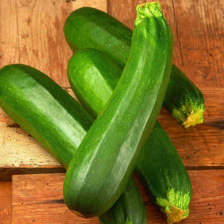 Dark Green Zucchini Seeds – Heirloom Non-GMO High Germination Vegetable Garden Seeds